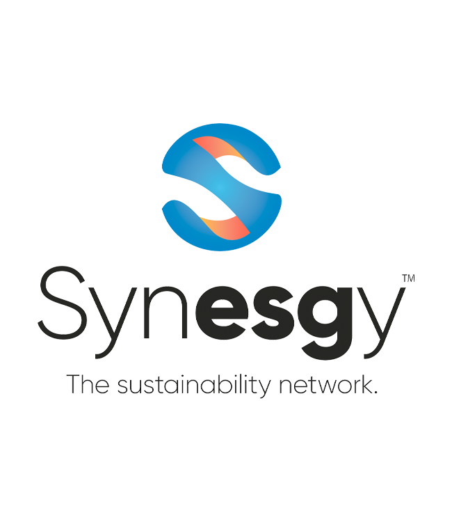 Logo Synesgy